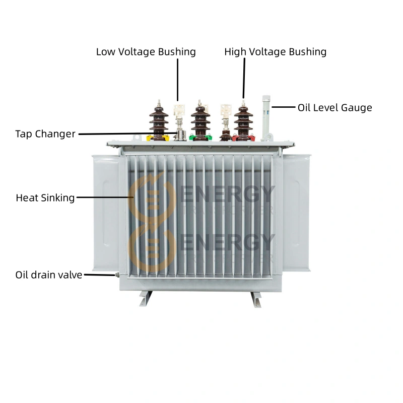 Energy-Efficient 1000 kVA 13.8kV 3-Phase Distribution Transformer – OEM/ODM Manufacturer with Fast Global Delivery